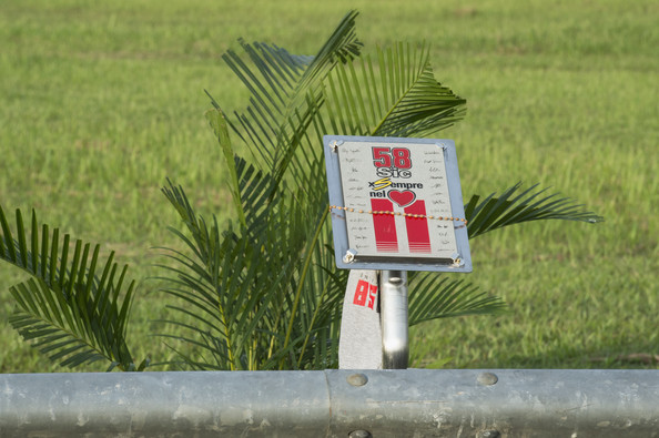 Simoncelli 
