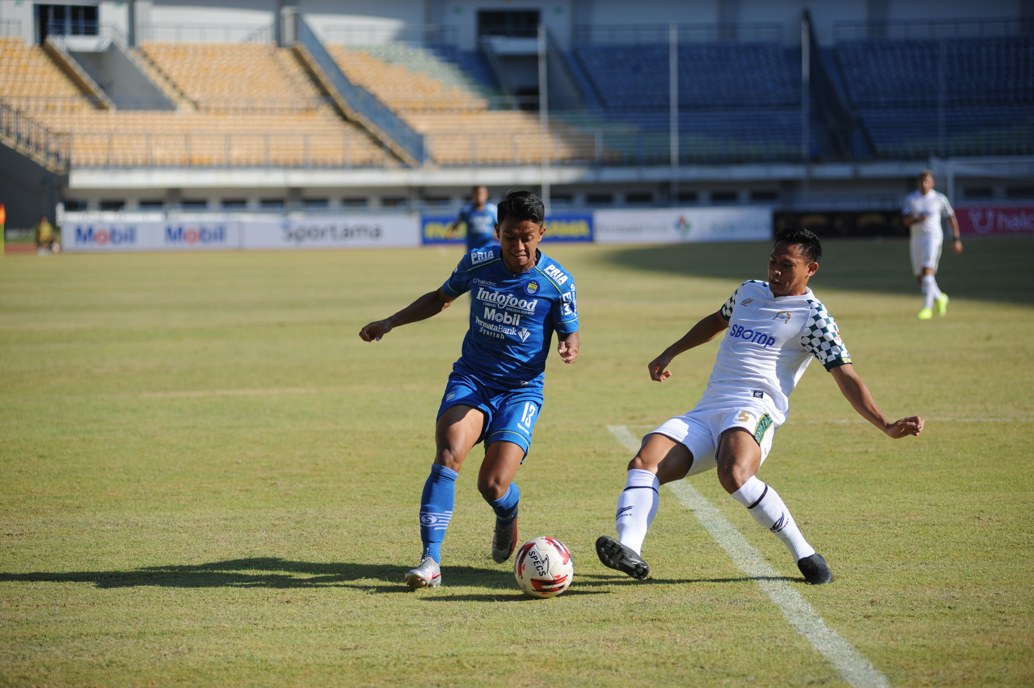 Banyak Pemain Persib Cedera dan Sakit saat Hadapi TIRA-Persikabo