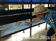 Liga 1 Ditunda, Umuh Muchtar Sibuk Jadi Peternak Ikan Arwana