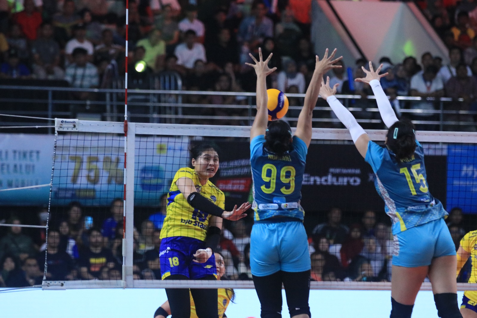 Rekapitulasi Hasil dan Jadwal Bandung bjb Tandamata hingga Seri 6 Putaran II Proliga 2024