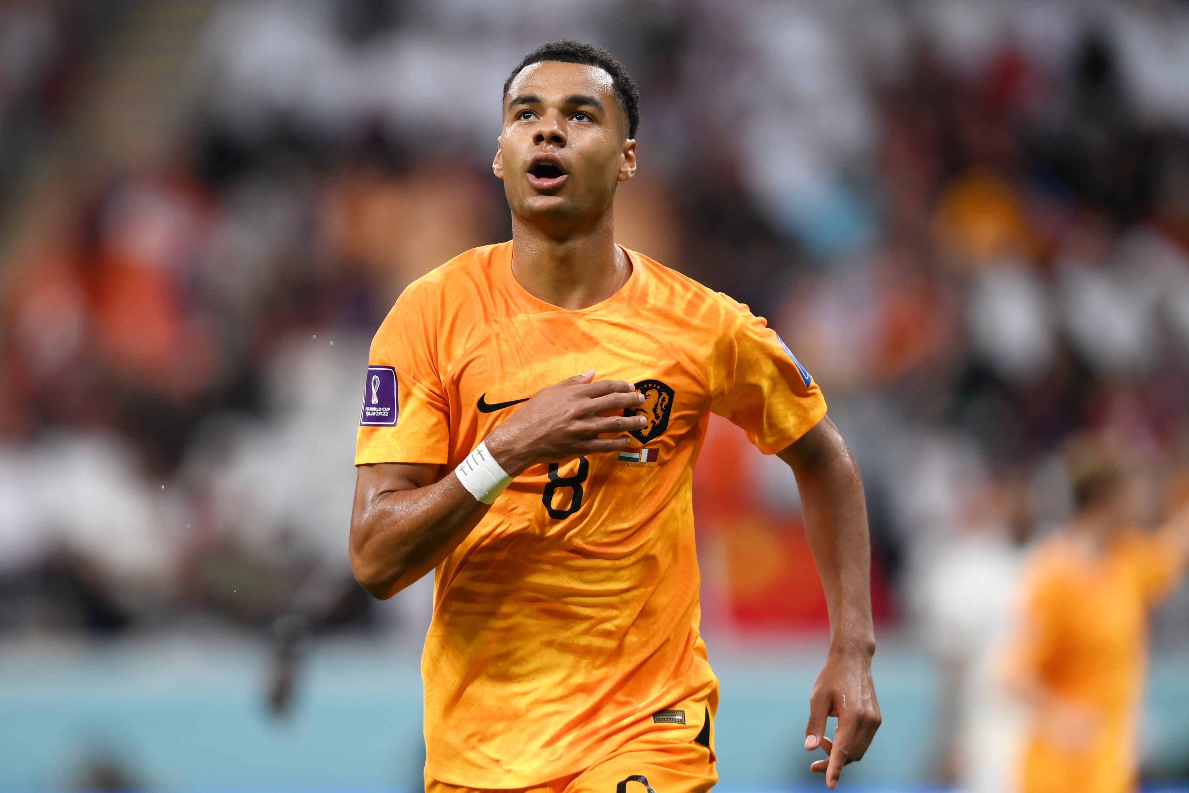 Piala Dunia 2022: Komplitnya Cody Gakpo di Fase Grup