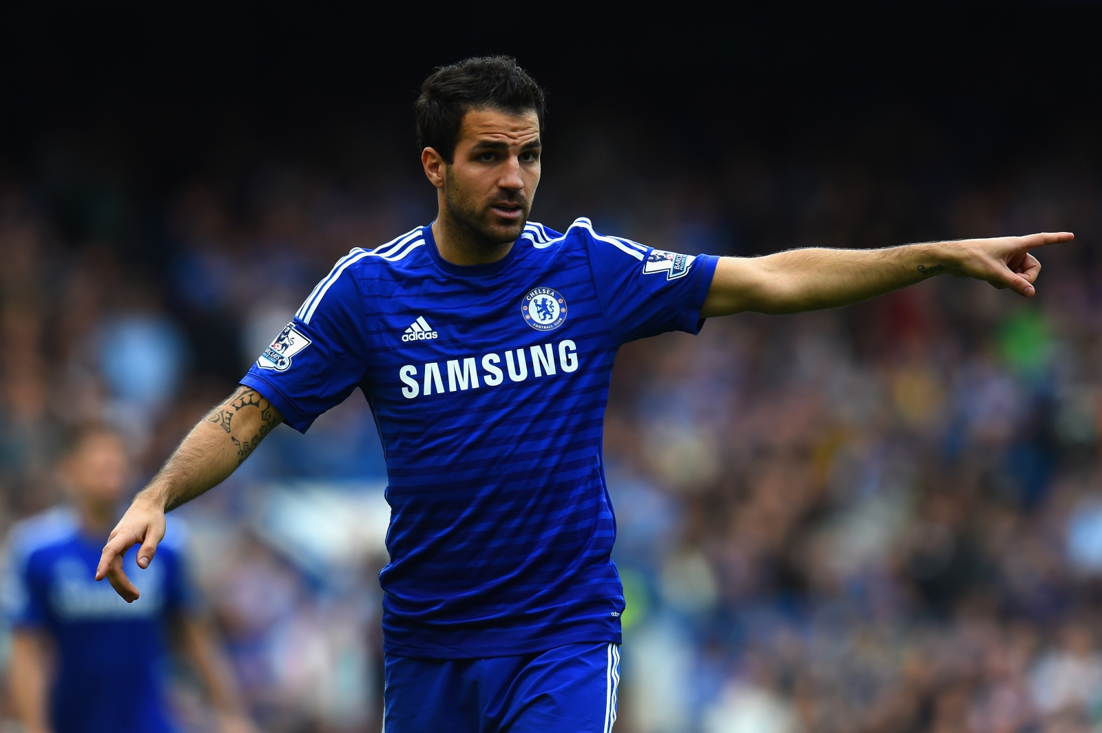 Fabregas Tetap Bertahan di Chelsea