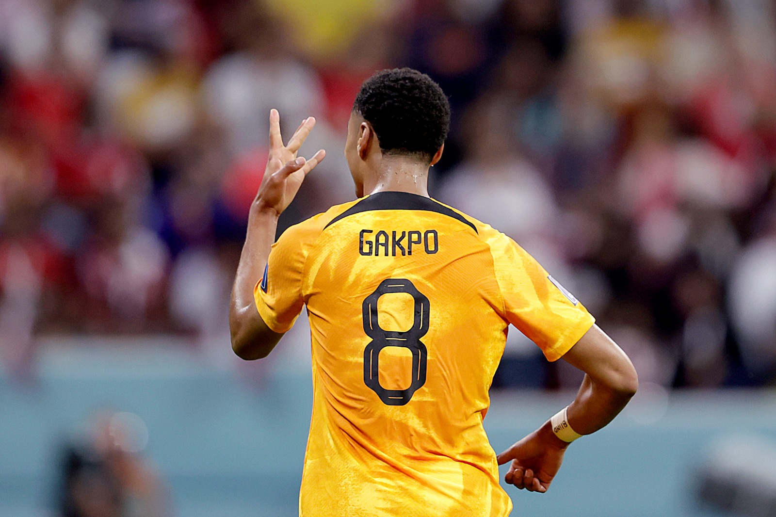 Bintang Laga Belanda Vs Qatar: Cody Gakpo Langganan Cetak Gol
