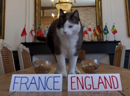 Nimbus Si Kucing Ramal Pemenang Prancis vs Inggris