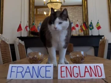 Nimbus Si Kucing Ramal Pemenang Prancis vs Inggris