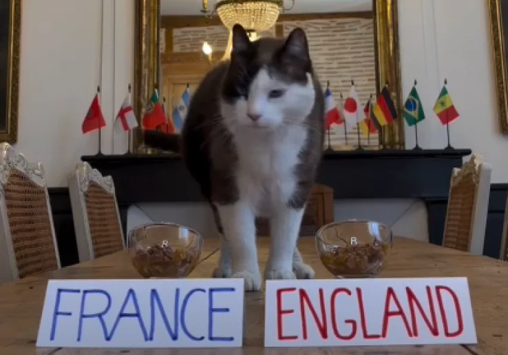 Nimbus Si Kucing Ramal Pemenang Prancis vs Inggris