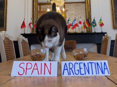 Nimbus Si Kucing Ramal Hasil Final Piala Dunia 2026 Spanyol vs Argentina