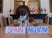 Nimbus Si Kucing Ramal Hasil Final Piala Dunia 2026 Spanyol vs Argentina