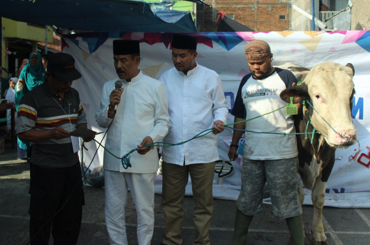 Manajer Persib Bandung Sumbang 6 Sapi untuk Qurban Idul Adha