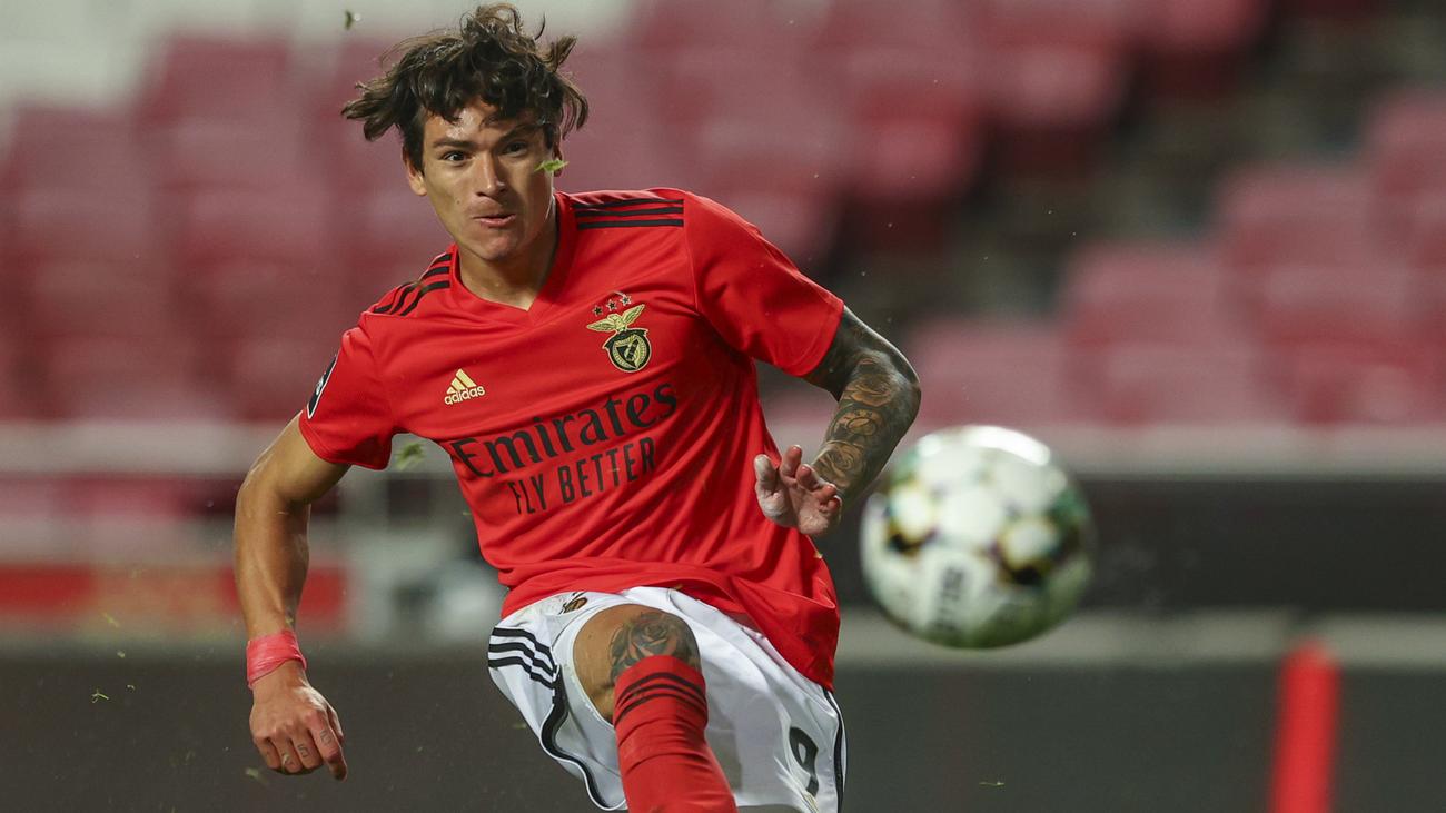 Minat Barcelona kepada Penyerang Muda Benfica Bertepuk Sebelah Tangan
