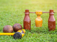 Cocok Dilakukan Semua Kalangan, Harga Tongkat Woodball Berkisar Rp2 Juta