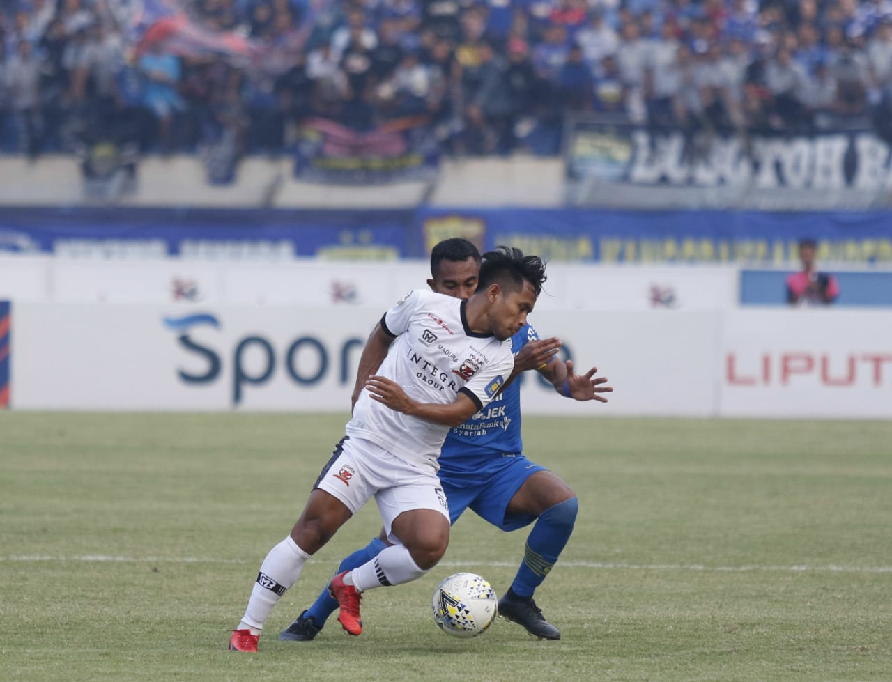 Respons Robert Rene Alberts soal Kegagalan Persib Menang atas Madura United