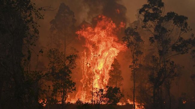 Grand Slam Australia Open 2020 Penuh Teka-teki karena Kebakaran Hutan dan Lahan, Atlet Berdonasi