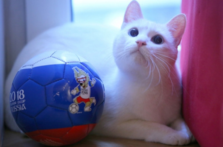 Achilles Si Kucing Tak Sendiri, Tapir Hingga Robot di Rusia Ikut Prediksi Hasil Piala Dunia 2018