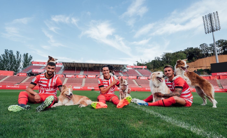 Girona dan Kampanye Unik untuk Menyayangi Hewan
