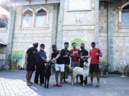 Bali United Rayakan Idul Adha dengan Berbagi Hewan Kurban