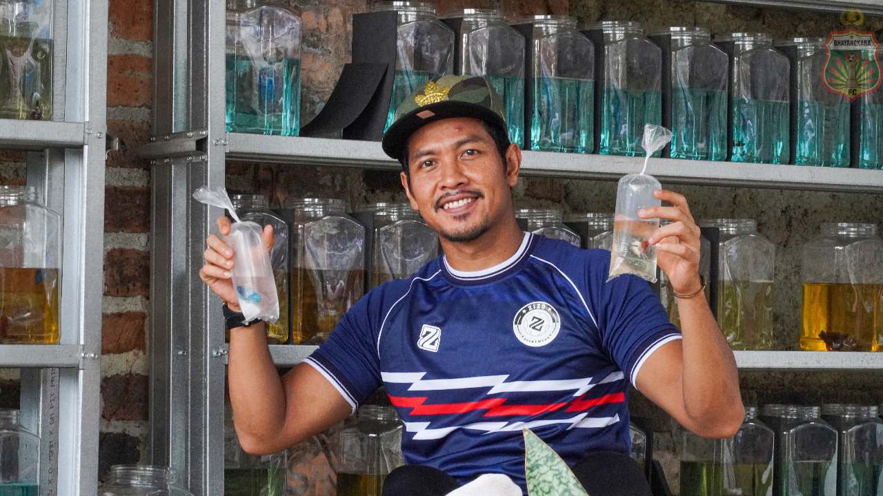 Pelihara Cupang, Jadi Hobi Baru Jajang Mulyana di Tengah Kekosongan Kompetisi