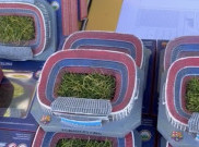 Cari Pendapatan Tambahan, Barcelona Jual Rumput Stadion Camp Nou