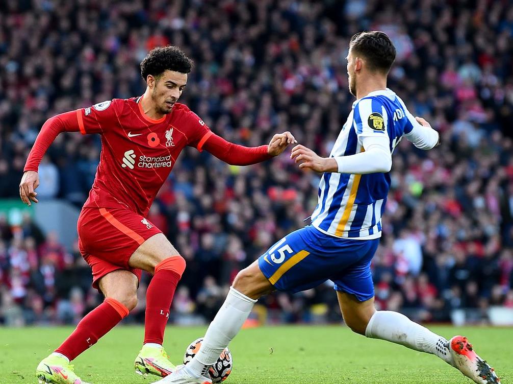 Prediksi dan Statistik Liverpool Vs Brighton: Waspada Ancaman The Seagulls