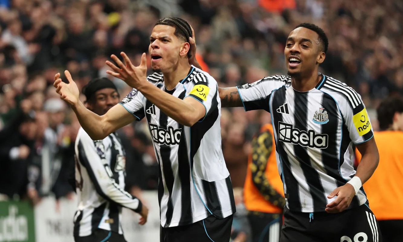 Selebrasi
