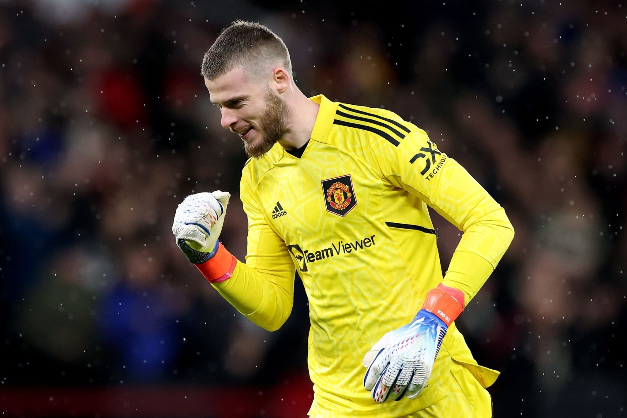 David De Gea Pendam Satu Impian di Manchester United