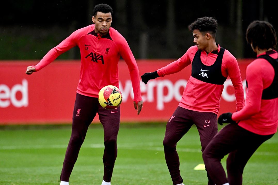 Jurgen Klopp Enggan Bandingkan Cody Gakpo dengan Luis Diaz