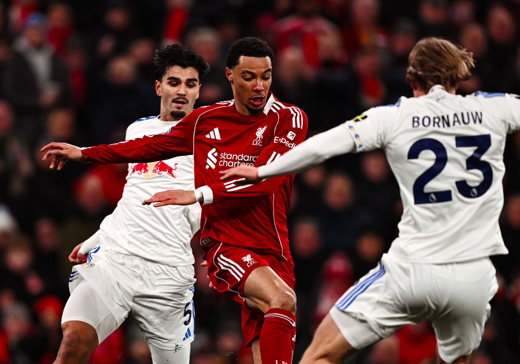 Kesia-siaan yang Dilakukan Liverpool Melawan Leeds United