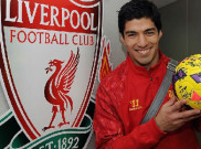 Suarez: Terlalu Cepat Jagokan Liverpool Juara