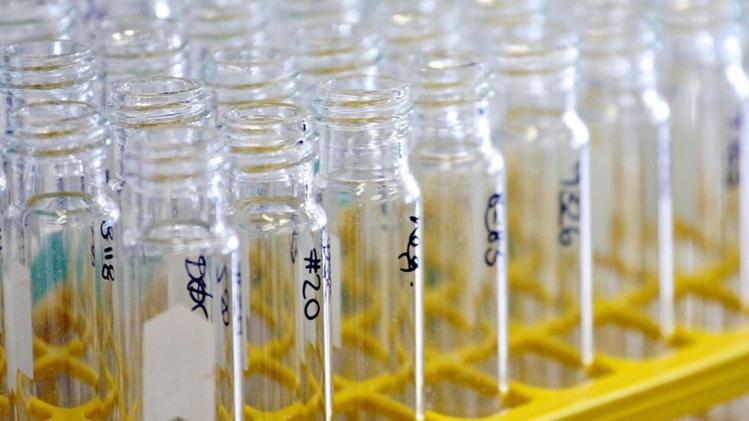 FIFA: Semua Sampel Darah Pemain Bebas Doping